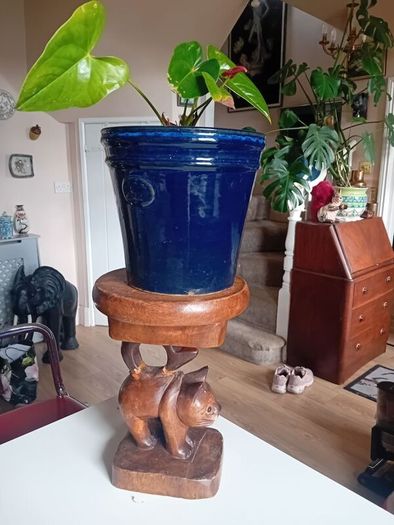 hardwood thai cat plant stand
