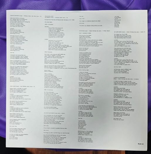 Acid Reign "Obnoxious" Original Vinyl Album