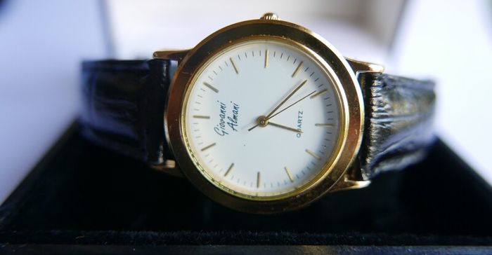 Working WATCH Women's Giovanni Almani  Quartz in original box