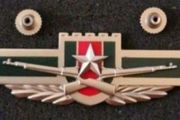 China ,  peoples liberation army ,infantry corp badge.