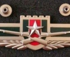 China ,  peoples liberation army ,infantry corp badge.