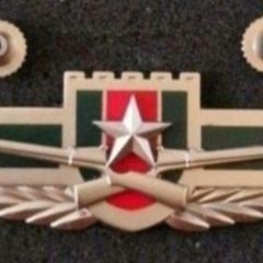 China ,  peoples liberation army ,infantry corp badge.