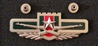 China ,  peoples liberation army ,infantry corp badge.
