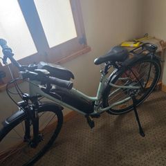 Riverside 100 E Electric Bike + Accessories  750