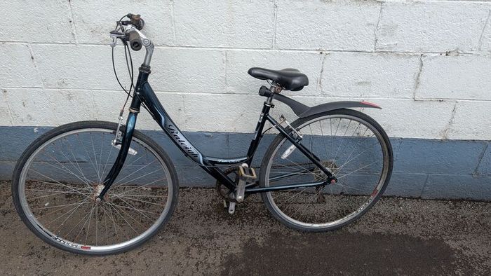 Raleigh Pioneer Metro Ladies Bike