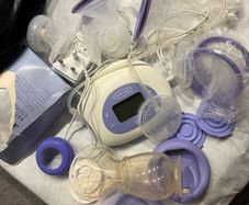 lansinoh double electric pump