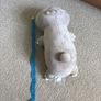 Weighted sloth teddy like huggalump Image 5