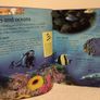 My First Picture Encyclopedia Hardback book Image 5