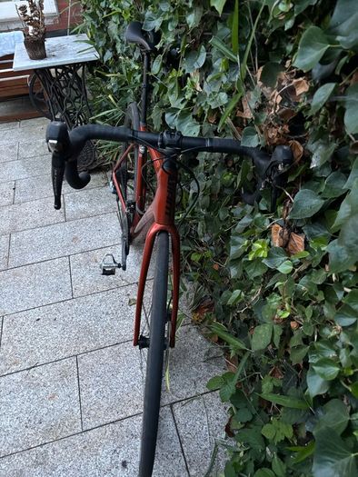 Giant tcr advance 2023