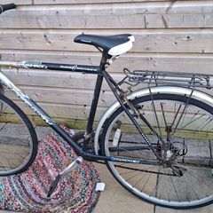 Two bikes free