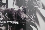 The Black Crowes - Live. 2 CD.
