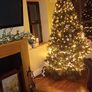Christmas Tree Image 4