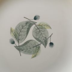 Wedgewood dinner plates x 3