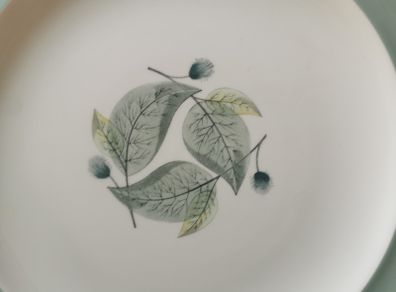 Wedgewood dinner plates x 3