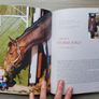 Vincent O'Brien The Official Biography by Jacqueline O'Brien & Ivor Herbert Image 2