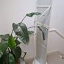 Full length Standing Mirror with Storage Image 3