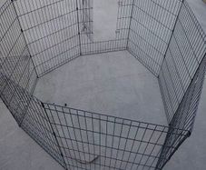 puppy pen