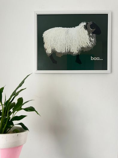 Blackface Mountain Sheep Achill, 2D framed 16 x 12 inch