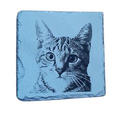 Cat picture, personalised slate coaster, gift, present