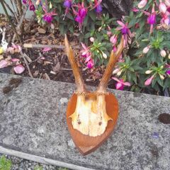 vintage hunting trophy