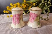 Vintage Salt and Pepper Shakers Made in Austria