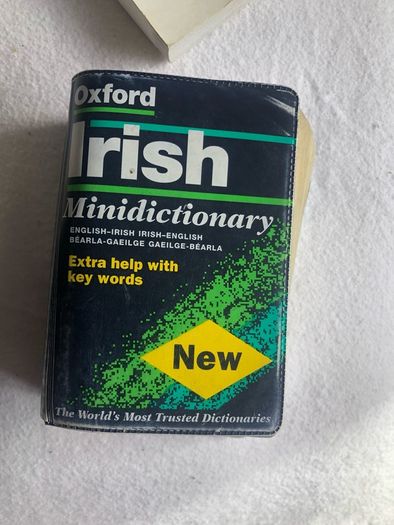 Irish dictionary