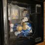 Sonic mania collectors edition Image 8