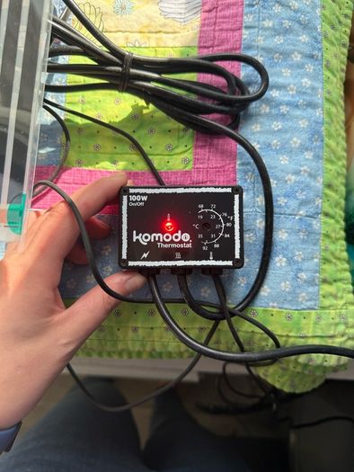 komodo heat mat