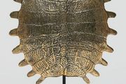 Turtle Shell - Polished Bronze, Signed