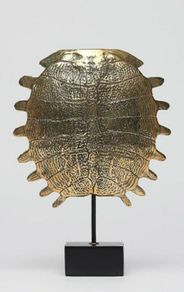 Turtle Shell - Polished Bronze, Signed