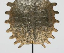 Turtle Shell - Polished Bronze, Signed