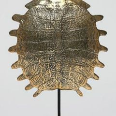 Turtle Shell - Polished Bronze, Signed