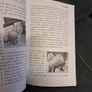 Daily STEM: How to Create a STEM Culture in Your Classrooms & Communities (Paperback) Image 5