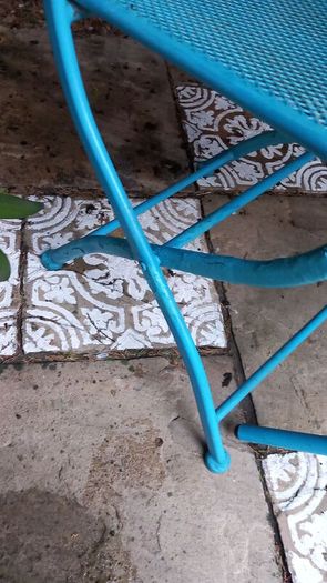 garden table and 2 chairs