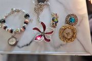 little  collection of broches,a chain and a charm  bracelet