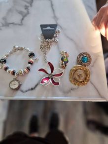 little  collection of broches,a chain and a charm  bracelet