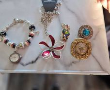 little  collection of broches,a chain and a charm  bracelet