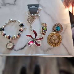 little  collection of broches,a chain and a charm  bracelet