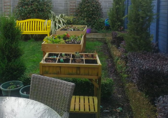 Veg Trug Herb Garden
