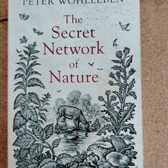 The Secret Network of Nature by Peter Wohlleben (Paperback, Vintage 2019)