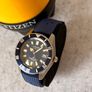 Citizen Promaster Fujitsubo Mechanical Diver NB6021-68L Image 2