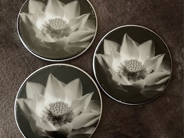 Coasters x6