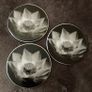 Coasters x6 Image 2