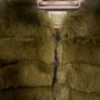 Fur Coat Image 3