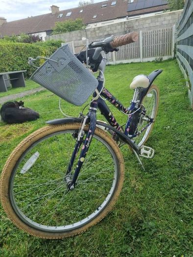 Girls Bike 24""