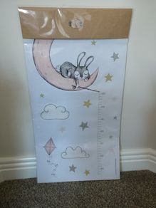 Girls bedroom wall height chart