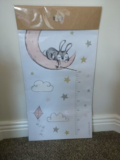 Girls bedroom wall height chart