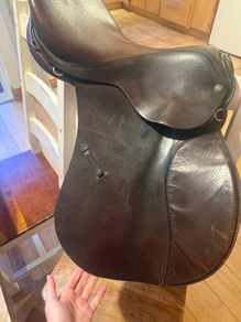 Gorgeous 17 Fox Saddle