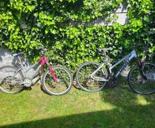 Two bikes for FREE (Giant & Optima) - For Repair or Parts