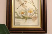 Edith Holden Framed Vintage Botanical Plate - July Country Diary of an Edwardian Lady (28.5x33.5cm)